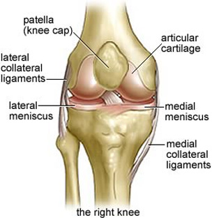knee